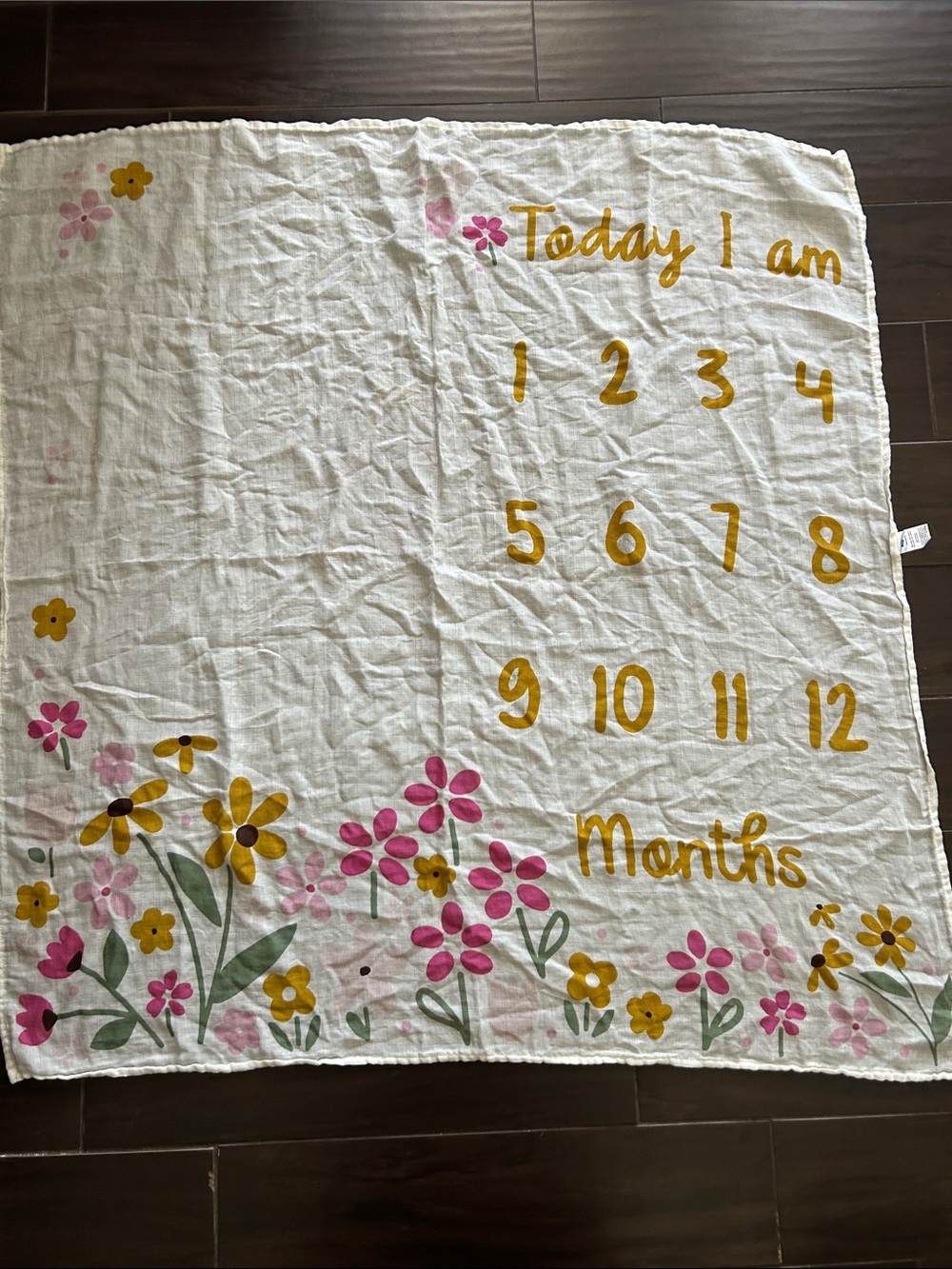 Gerber Baby Girl Milestone Muslin Blanket/Throw NWOT 42 X43